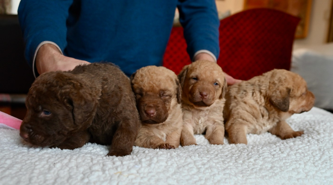 News à 3 semaines des BB de Rhéa et Flash