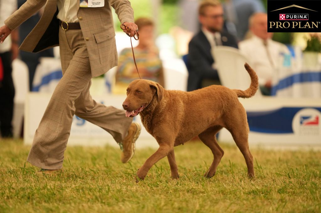Multi Ch Rhéa of Potomac River 